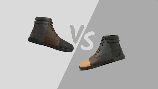 Blogartikel: Patrol Lite vs. Patrol Winter: Wie unterscheiden sie sich?
